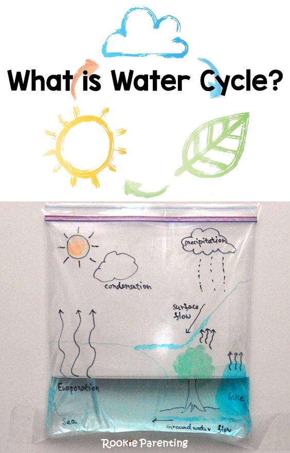 Water Cycle in a Bag Example